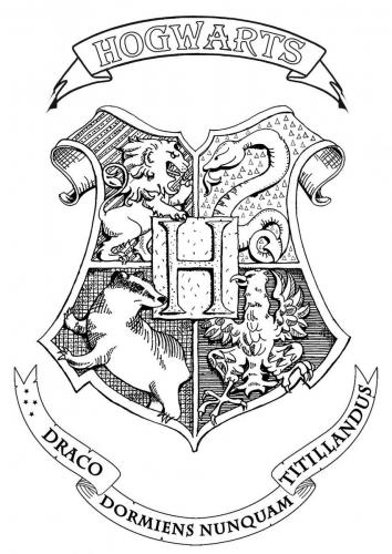 Adult Harry Potter Crest